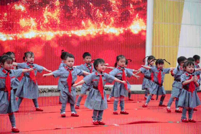 奇努克犬好养吗 加强对幼犬的训练